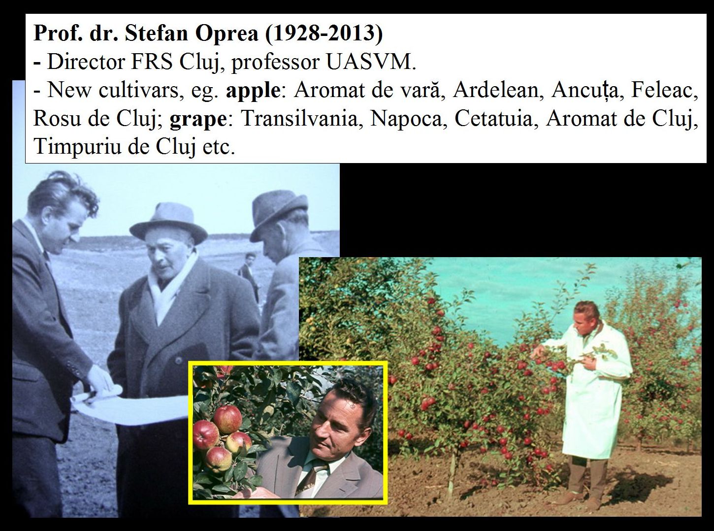 Apple and pear breeding in Cluj-Napoca, history - Prof. dr. Stefan Oprea