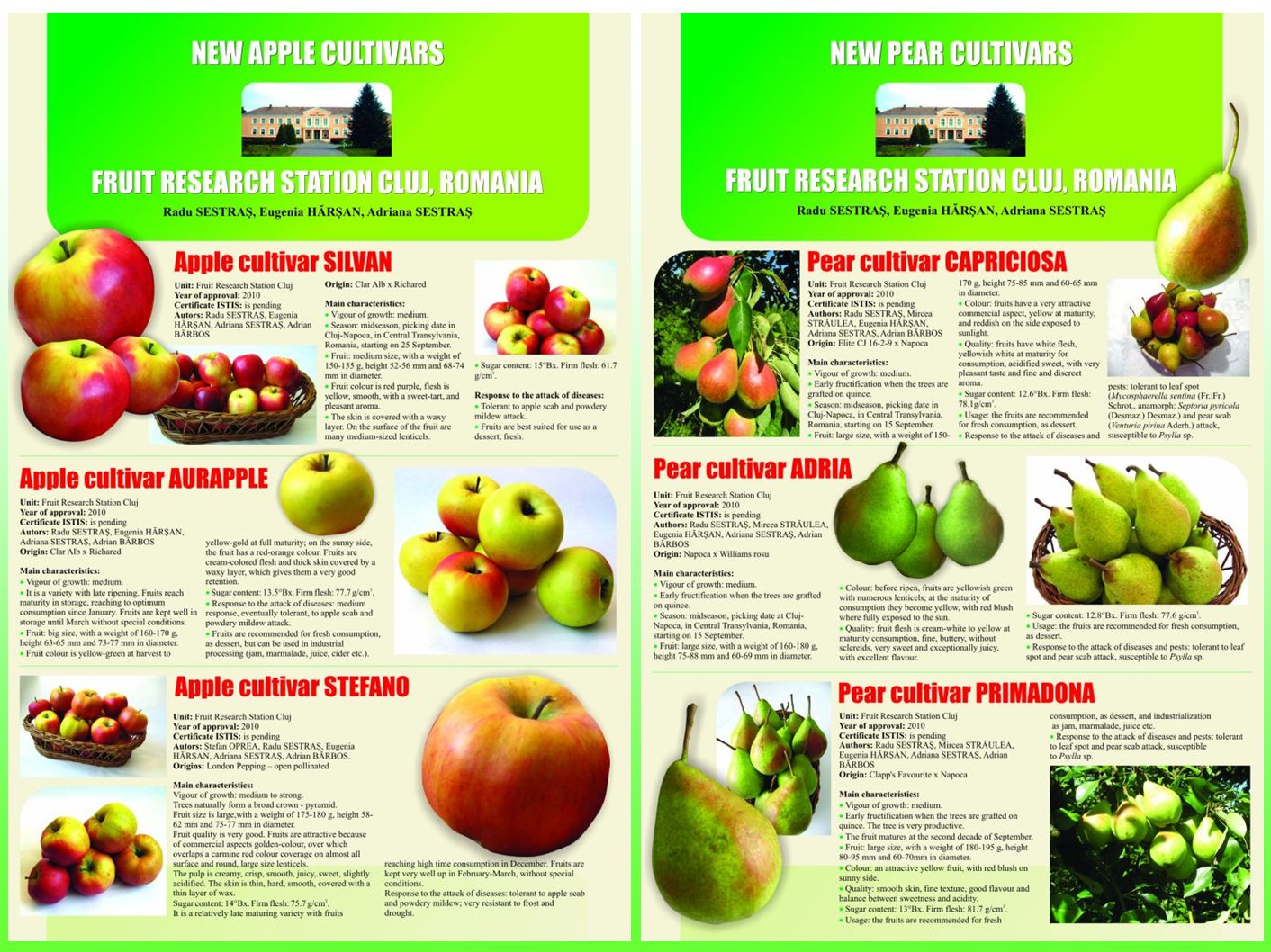 Apple and pear breeding in Cluj-Napoca. New cultivars