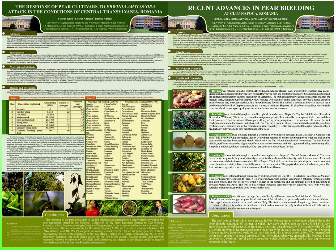 Apple and pear breeding in Cluj-Napoca. Posters Adriana and Radu Sestras