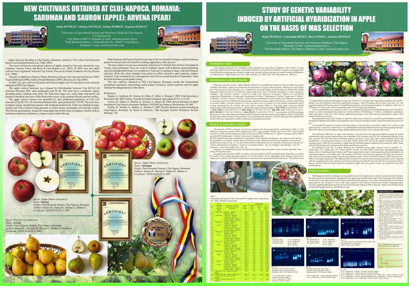 Apple and pear breeding in Cluj-Napoca. Posters new cultivars and research