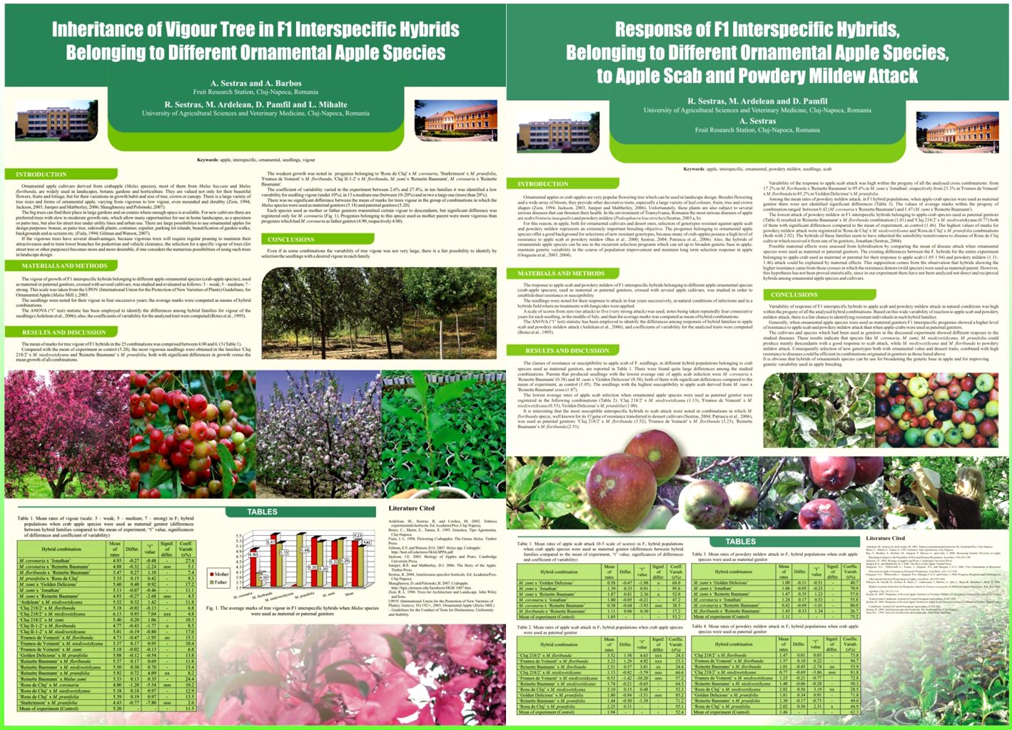 Apple and pear breeding in Cluj-Napoca. Posters