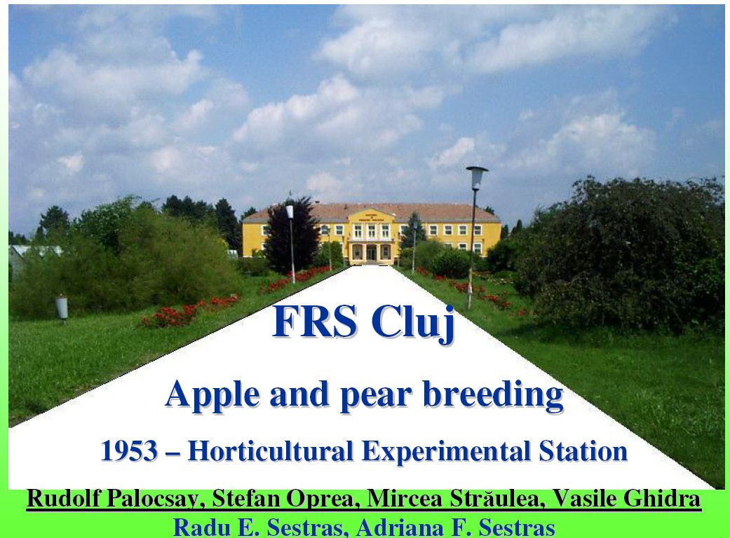 Cluj apple and pear breeding FRS 1953